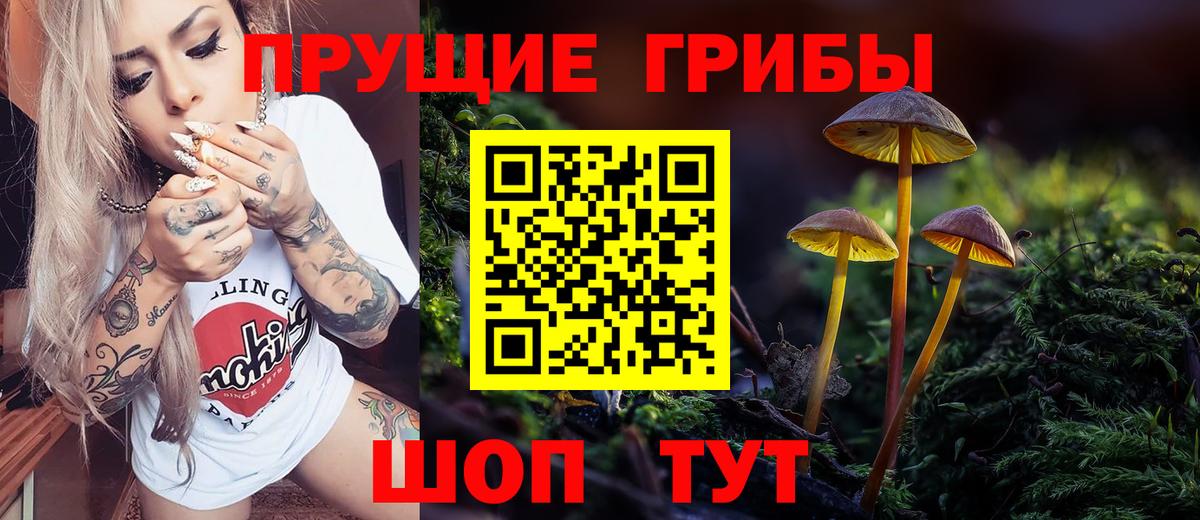 Псилоцибиновые грибы Psilocybe Новочебоксарск