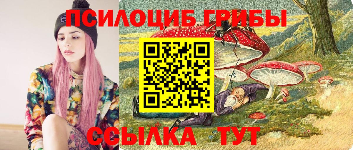 Псилоцибиновые грибы мухоморы  купить наркотик  Новочебоксарск  Вход с VPN 